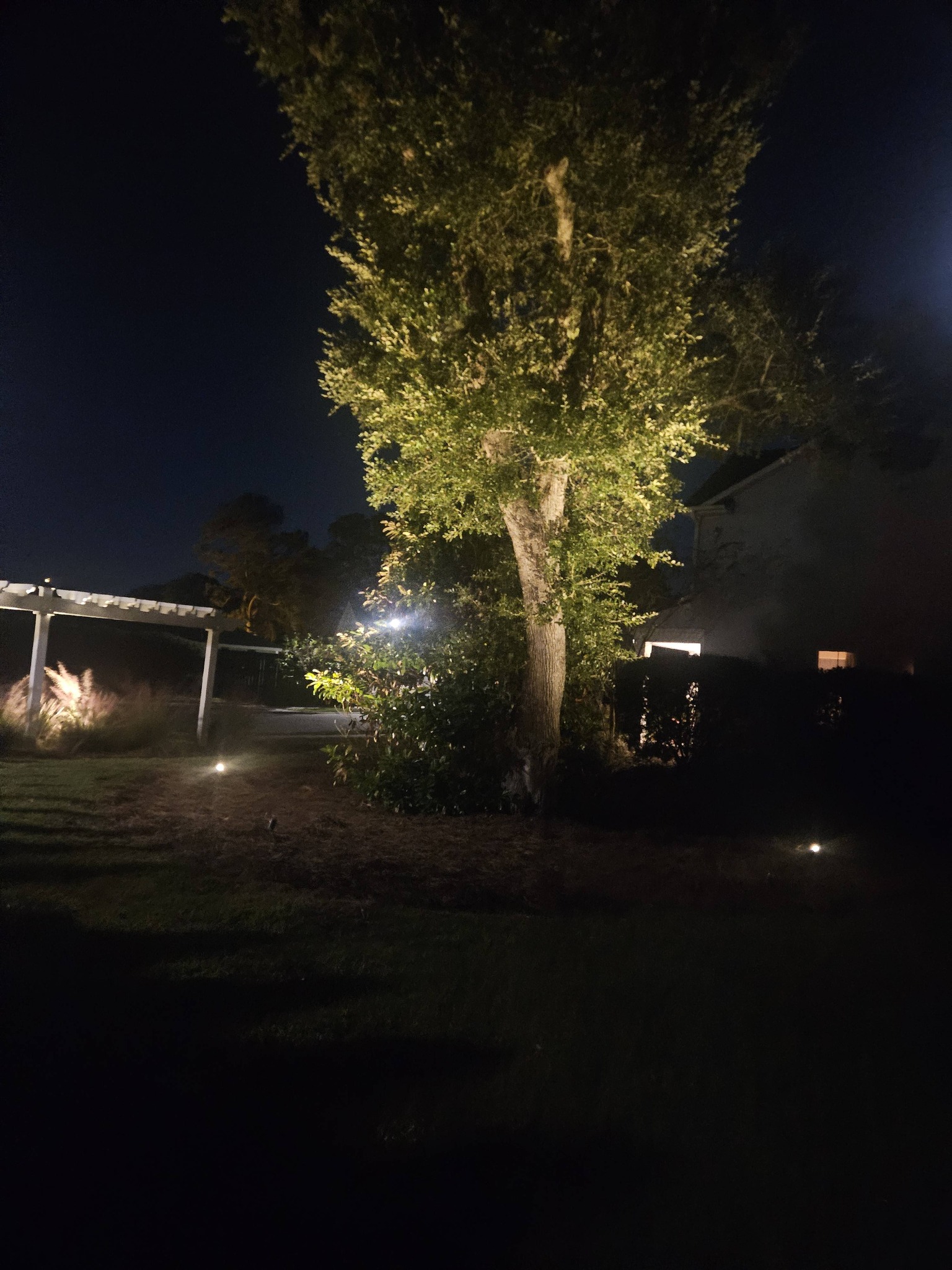 Low-voltage landscape lighting installation in Goose Creek SC